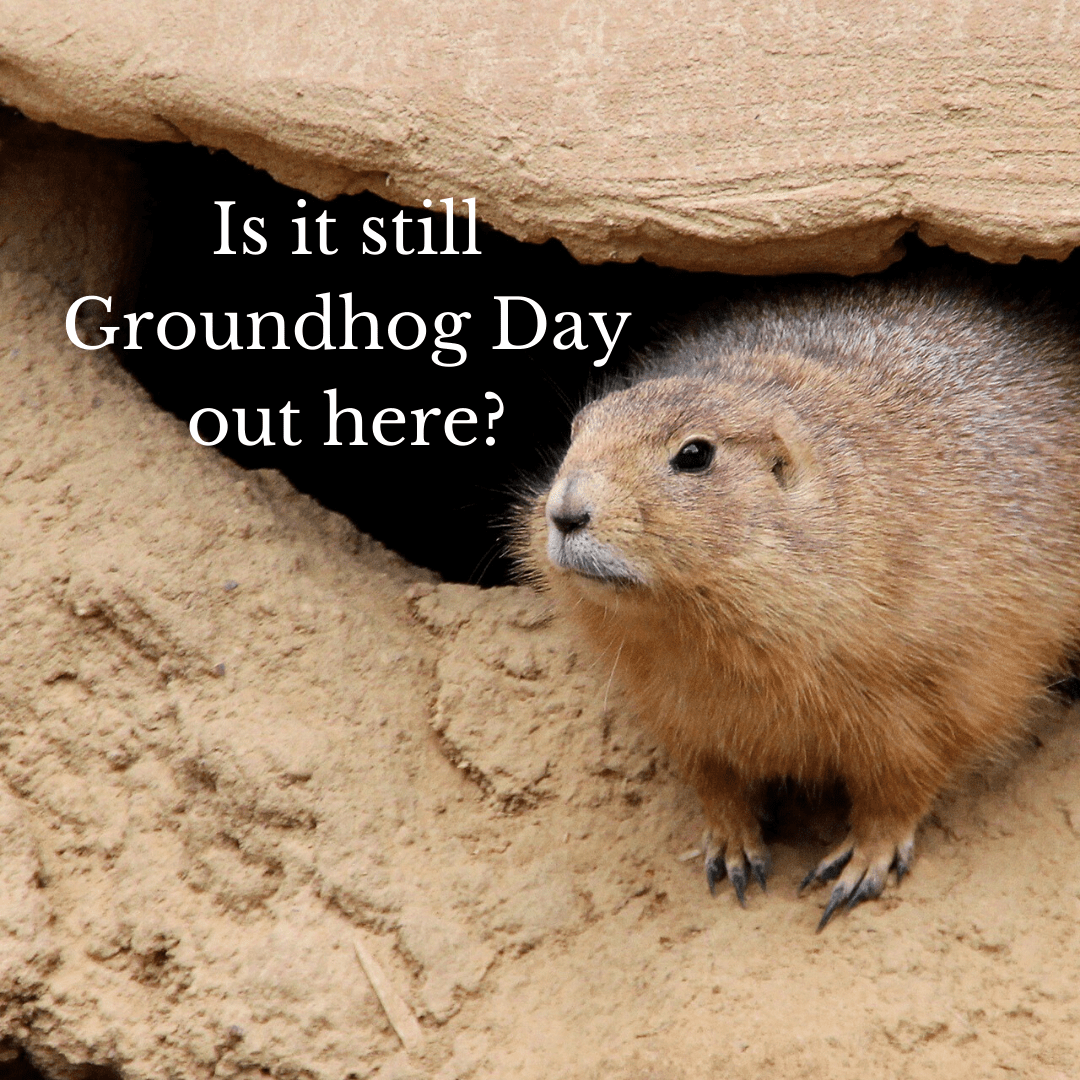 Anne Rulo COVID 19 - Groundhog Day